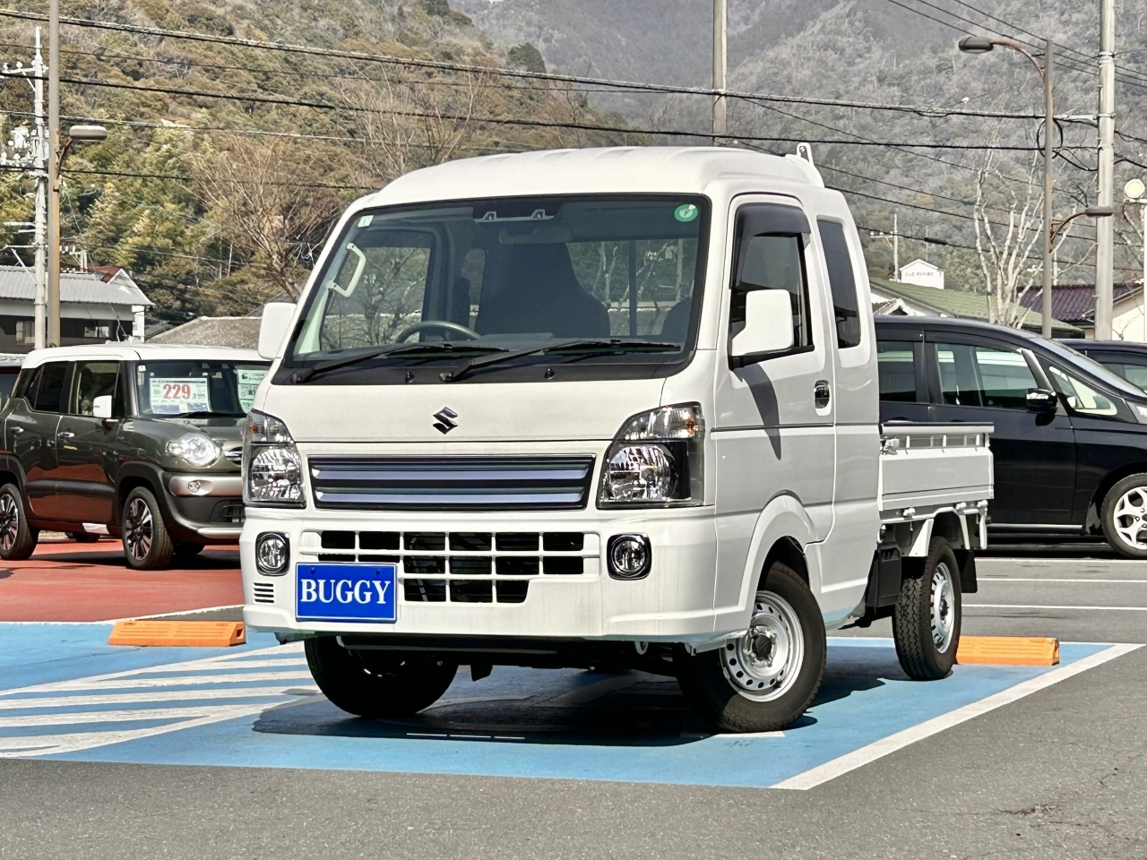 SUZUKI CARRY TRUCK