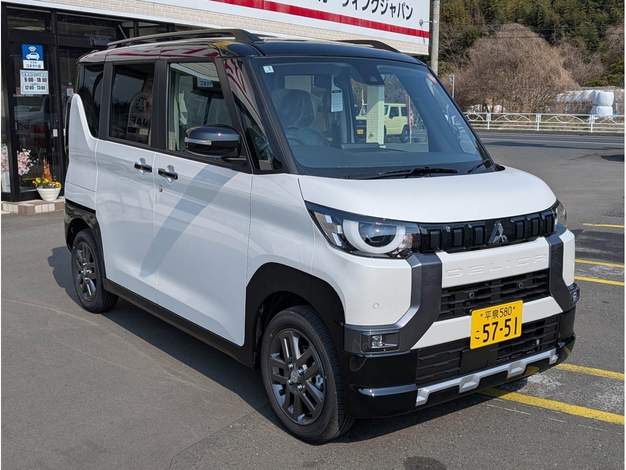 MITSUBISHI DELICA MINI