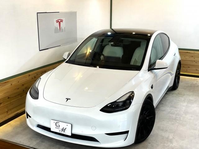 OTHER MODEL Y
