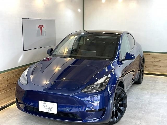OTHER MODEL Y