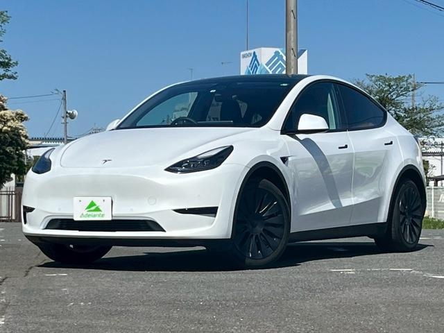 OTHER MODEL Y