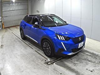 PEUGEOT E-2008