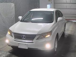 LEXUS OTHER