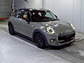 ROVER MINI