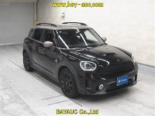 ROVER MINI
