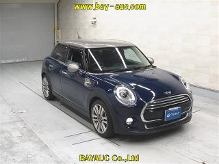 ROVER MINI