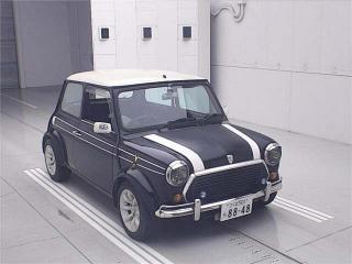 ROVER MINI